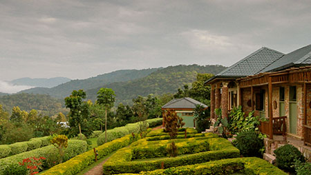 Silverback Lodge